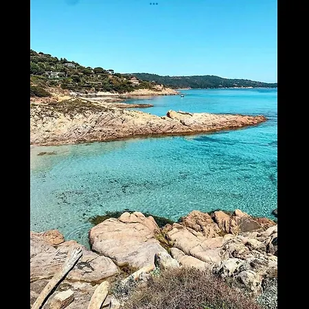 Lejlighed Appartement Climatise Bord De Mer La Faviere