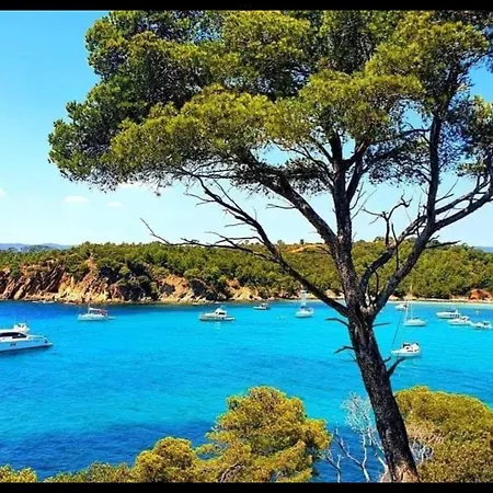 Lejlighed Appartement Climatise Bord De Mer La Faviere *