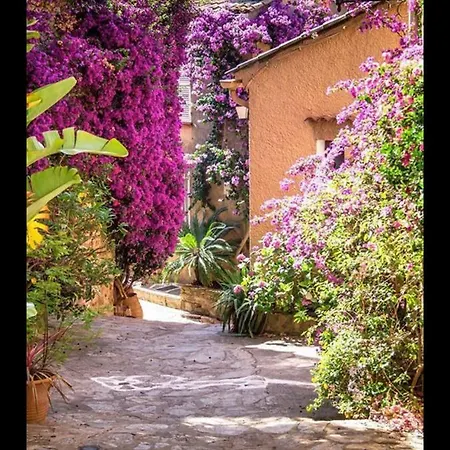 Appartement Climatise Bord De Mer La Faviere דירה *