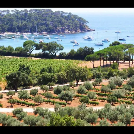Appartement Climatise Bord De Mer La Faviere Lejlighed Bormes-les-Mimosas