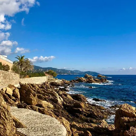 Appartement Climatise Bord De Mer La Faviere Lejlighed Bormes-les-Mimosas